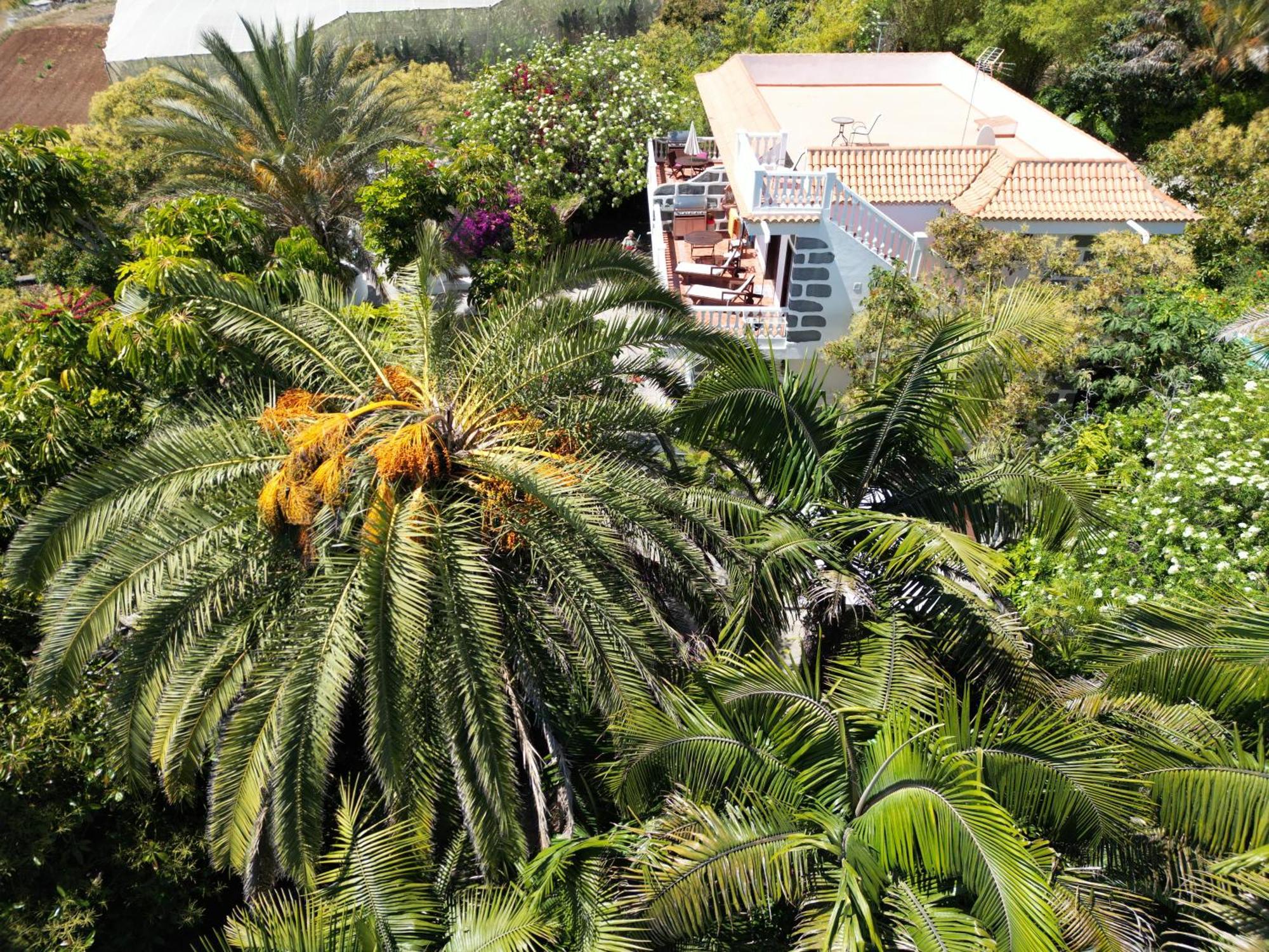 Villa Tijarafe 1 Exterior foto